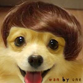 d_1er's profile picture. 