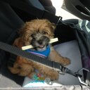 samantha vaught - @SamVaught92 - Twitter