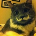 Sean Beard - @beardsean - Twitter