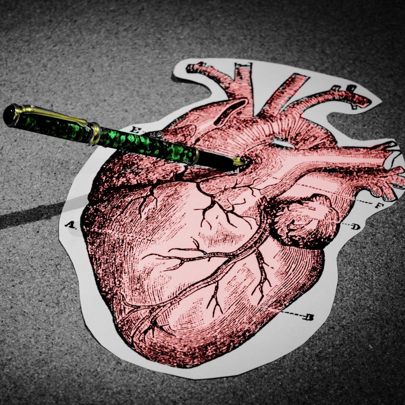 SALTtheatre's profile picture. Salt are interested in the connection between old stories and new.