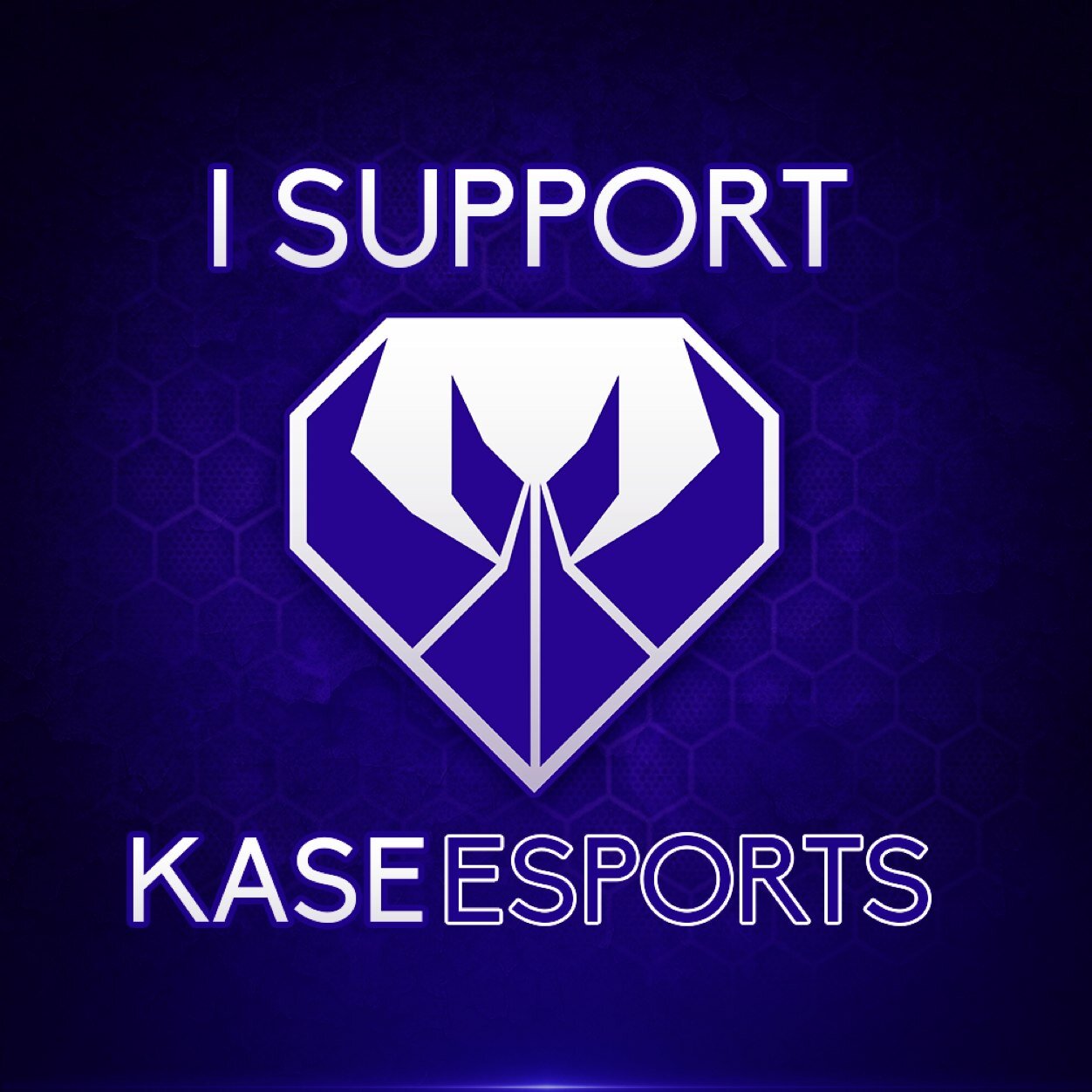 Growing Competitive E-Sports Organization | Worldwide