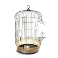 Allianz GewaltFREI leben (@gewaltfreileben) 's Twitter Profile Photo