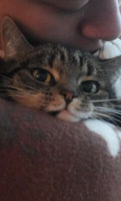 yannicksamson's profile picture. '92, Utrecht, DJ/Producer as one half of Shapes, freelance journalist https://t.co/mpbMMOzuNH…