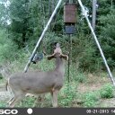 Darrell Tompkins - @DTOMPKINS4 - Twitter