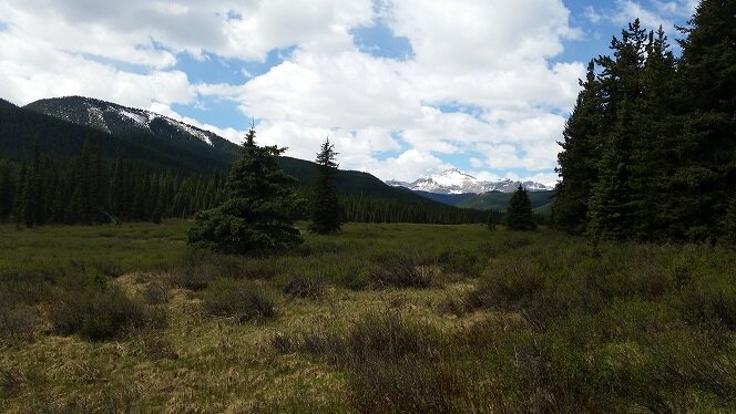 _TheKos's profile picture. Hunter, Tinker, Fisherman and Outdoorsman