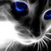 Peter Moody (@oldblackcat13) Twitter profile photo Peter Moody (@oldblackcat13) Twitter profile photo