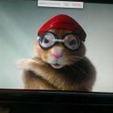 cory peacock - @peacockswim8 - Twitter