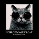 Blank Dwayne - @BlankDwayne - Twitter