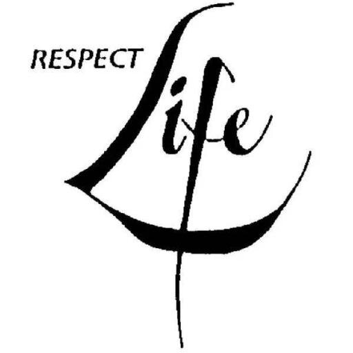 simple but the best..