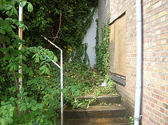 freesat1's profile picture. 