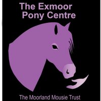 MoorlandMousieTrust (@exmoorponies) 's Twitter Profile