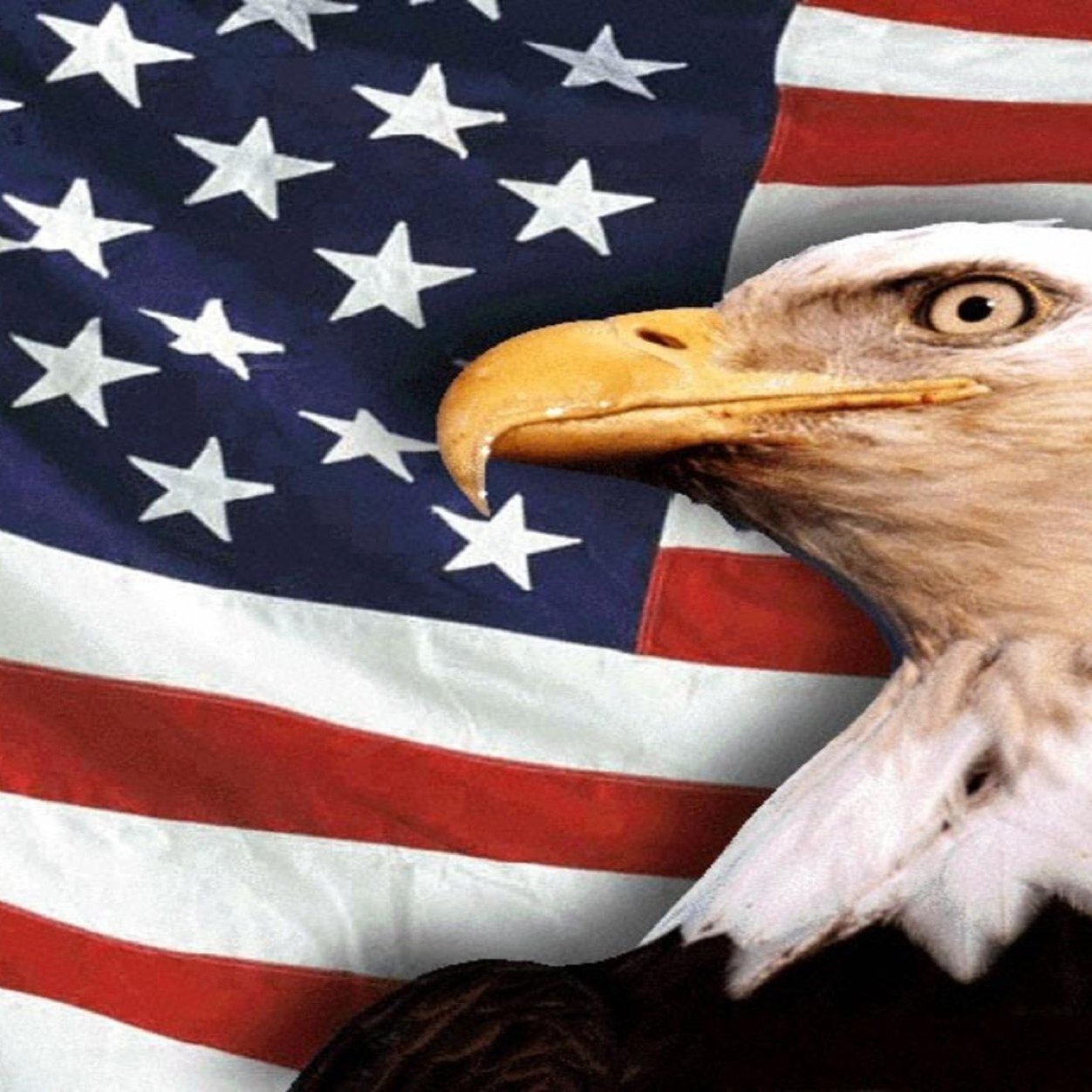 wfury2's profile picture. 