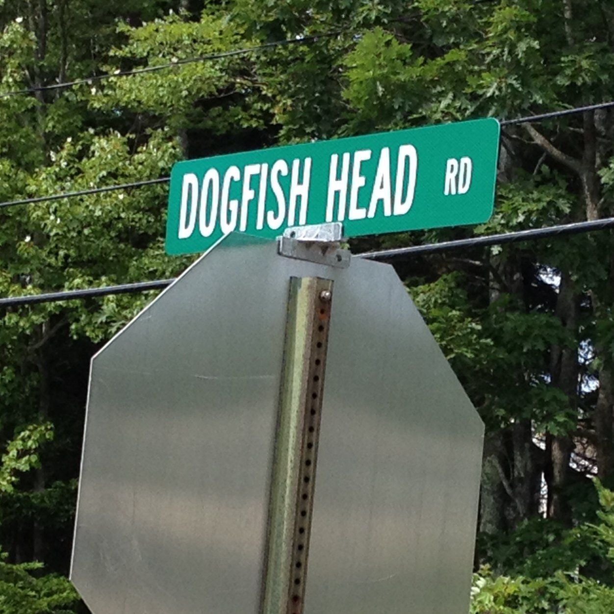 flanders00's profile picture. 