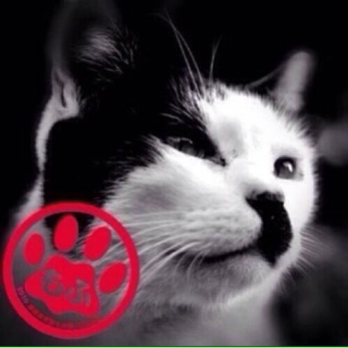 ハルさんのプロフィール画像