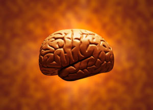 smart_brain_27's profile picture. Blogger