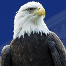 KDJLawNJ's profile picture. Kessler, DiGiovanni & Jesuele, LLC, are personal injury attorneys who focus our sights on helping people in NJ recover damages from injuries they have suffered!