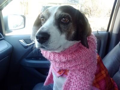 agdoughton's profile picture. 