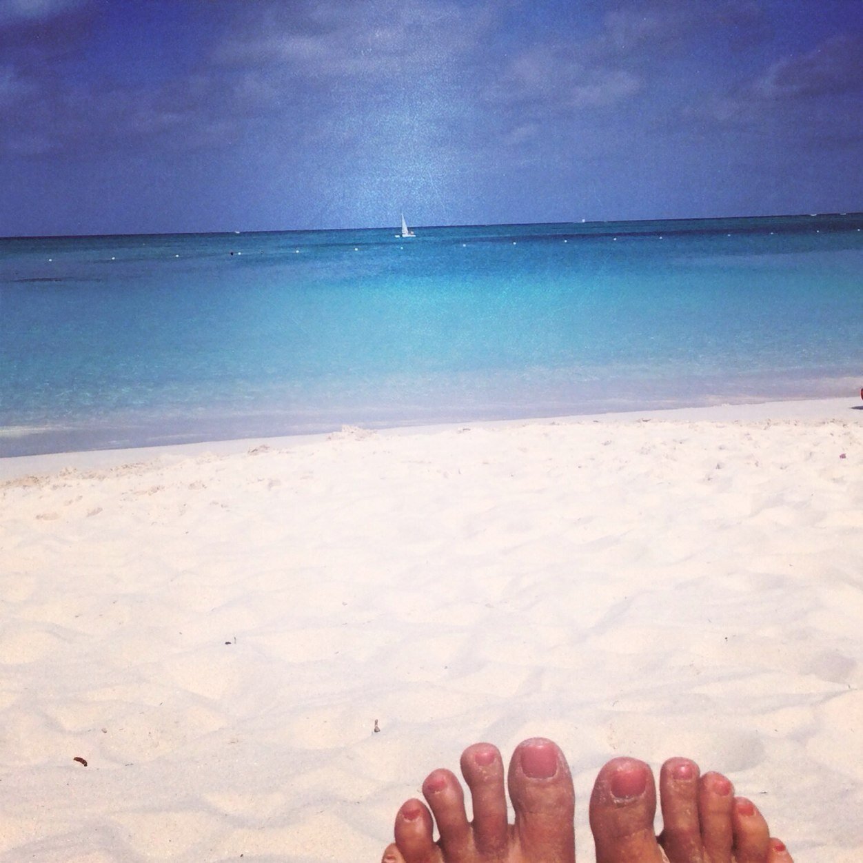 Charlot51213571's profile picture. 