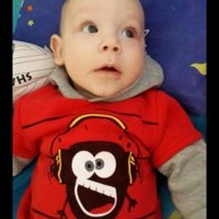 Hennie Roets (@bosbeer) 's Twitter Profile
