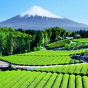 Pablo Bringas - @bringas_paulo - Twitter