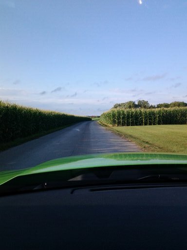 Shining4Christ's profile picture. #truthseeker