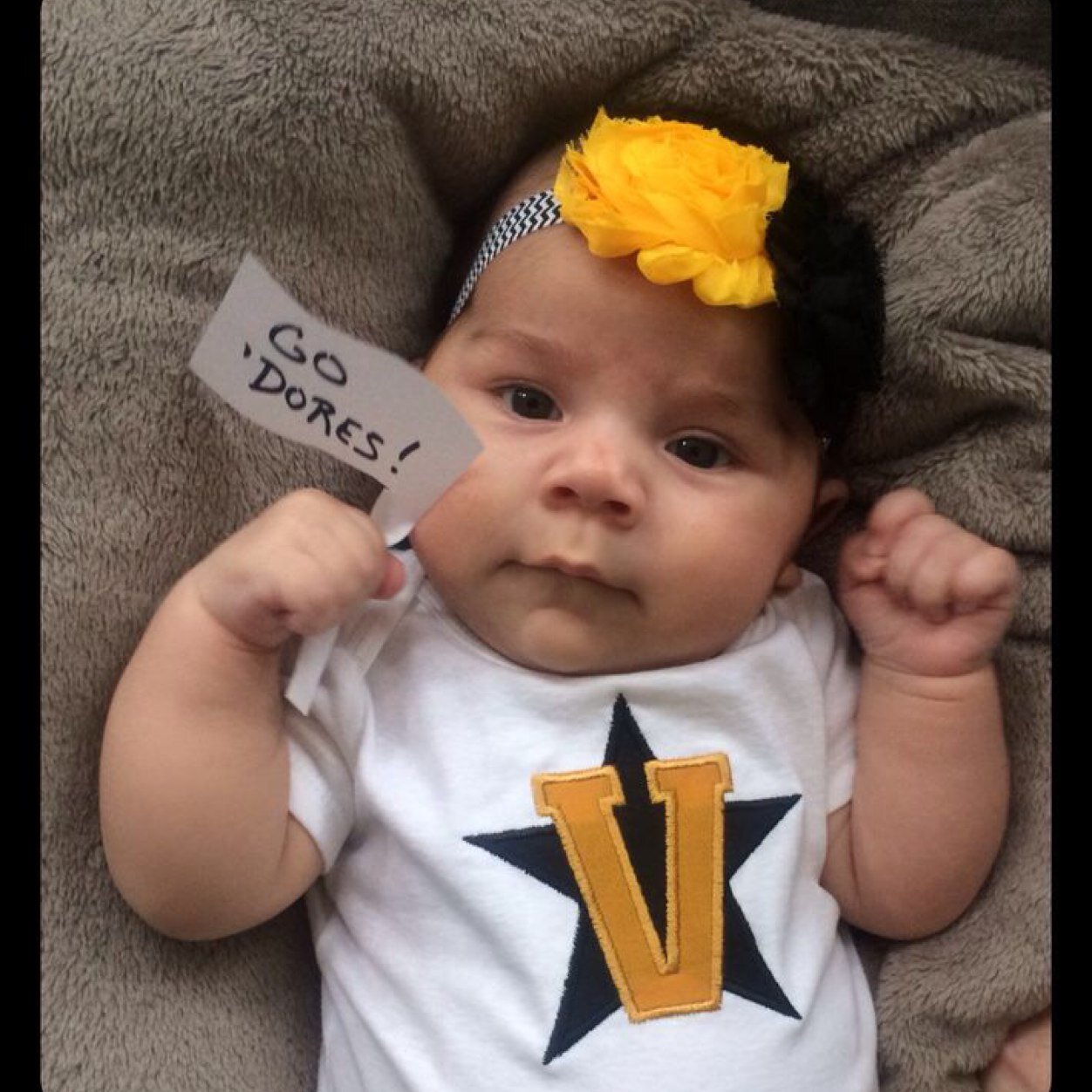 GatorBilt's profile picture. 