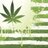 stonedkiidz's profile image