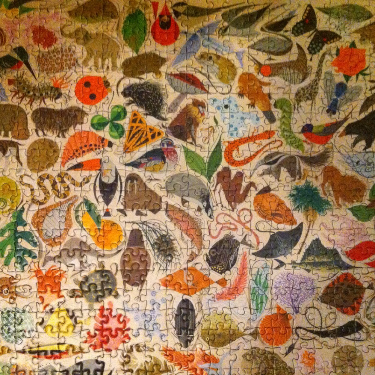 ELCZav's profile picture. 