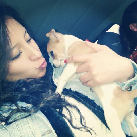 liizbethRazo's profile picture. Rie cuando quieras, 
Disculpate cuando debas, 
Deja ir lo que te hace daño,
y cuida aquien siempre esta 
           a tu lado !!