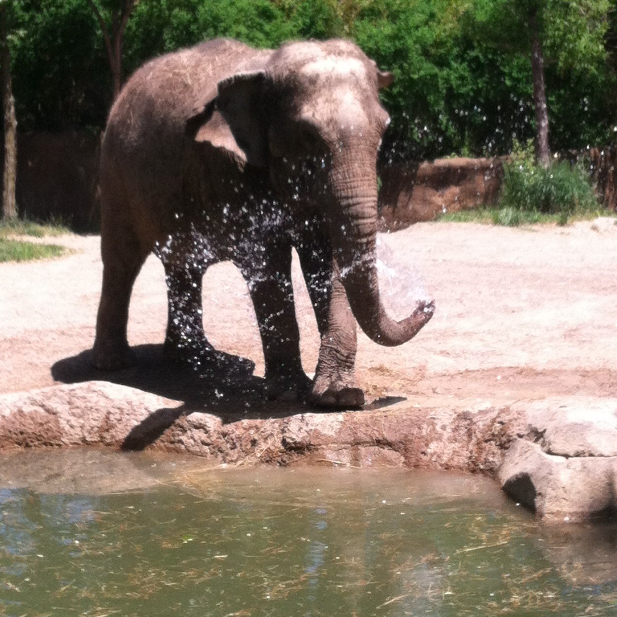 jjean6555_jean's profile picture. I just like things