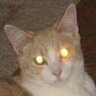 Morac's profile picture. 