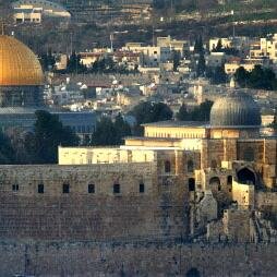 adl2222's profile picture. 