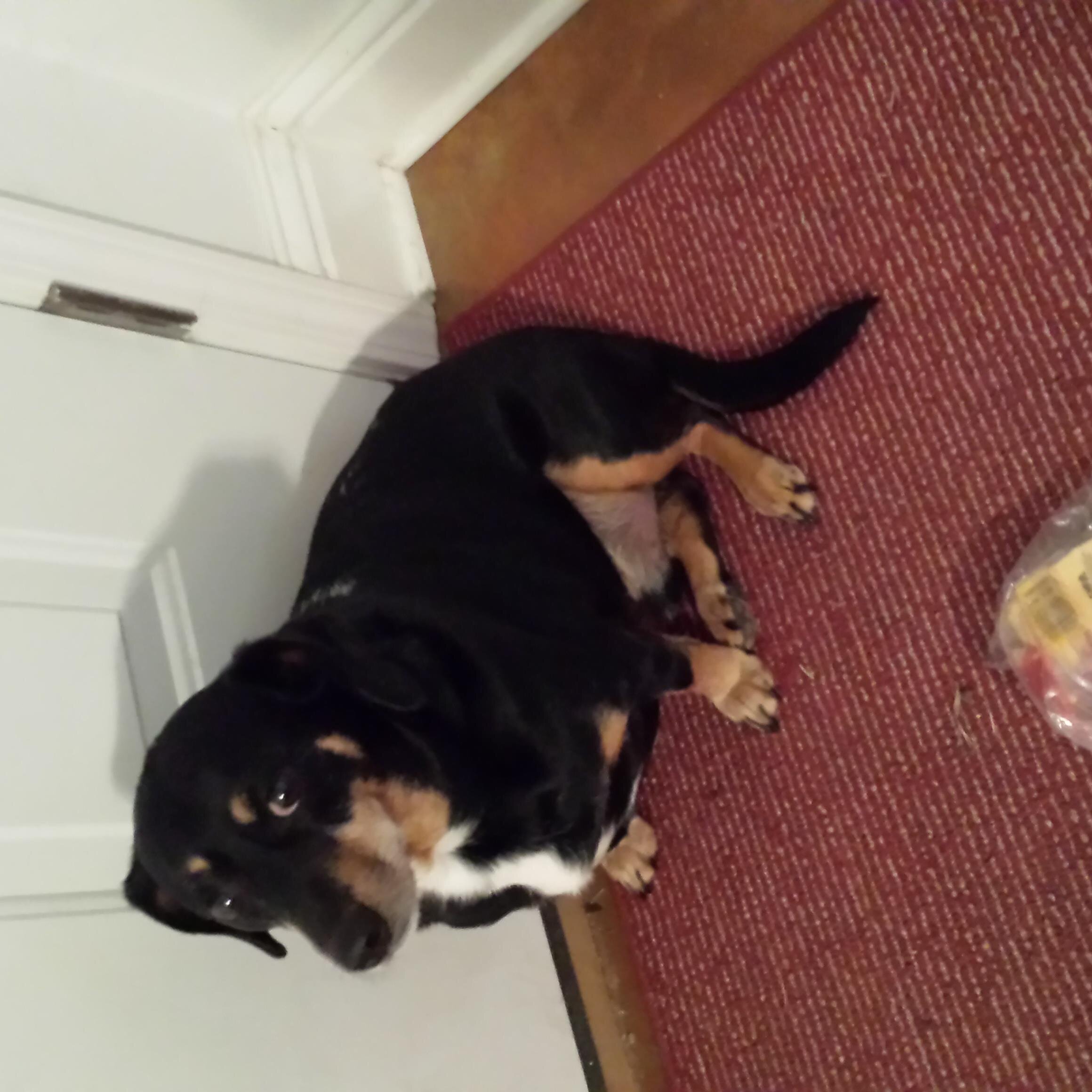 jcfalgout's profile picture. 