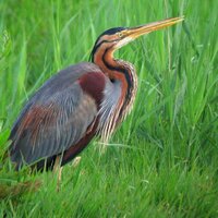 Elaine Falkner (@elainefalkner) 's Twitter Profile Photo