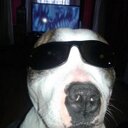Jason Ross (@0071289Ross) Twitter
