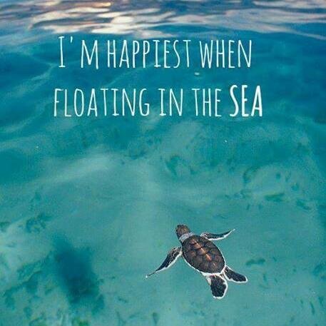 Happy Go Lucky Free Spirit