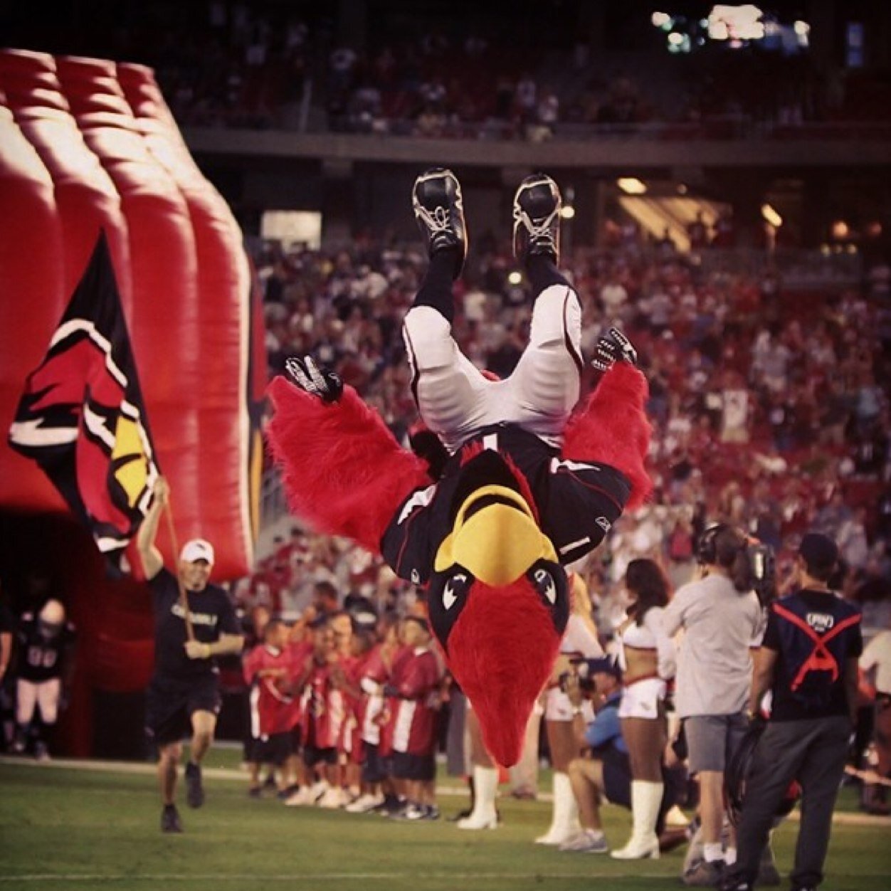cards__football's profile picture. 