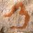 Profile Picture of L'histoire Du Web (@@WebHistoryPics) on Twitter
