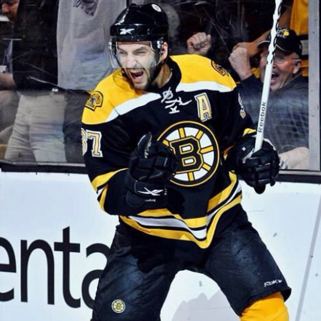 TheHockeyKing3's profile picture. went from concrete hands to silky mitts. Go Bruins.