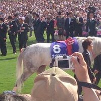 キャサリン (@izumidb) Twitter profile photo