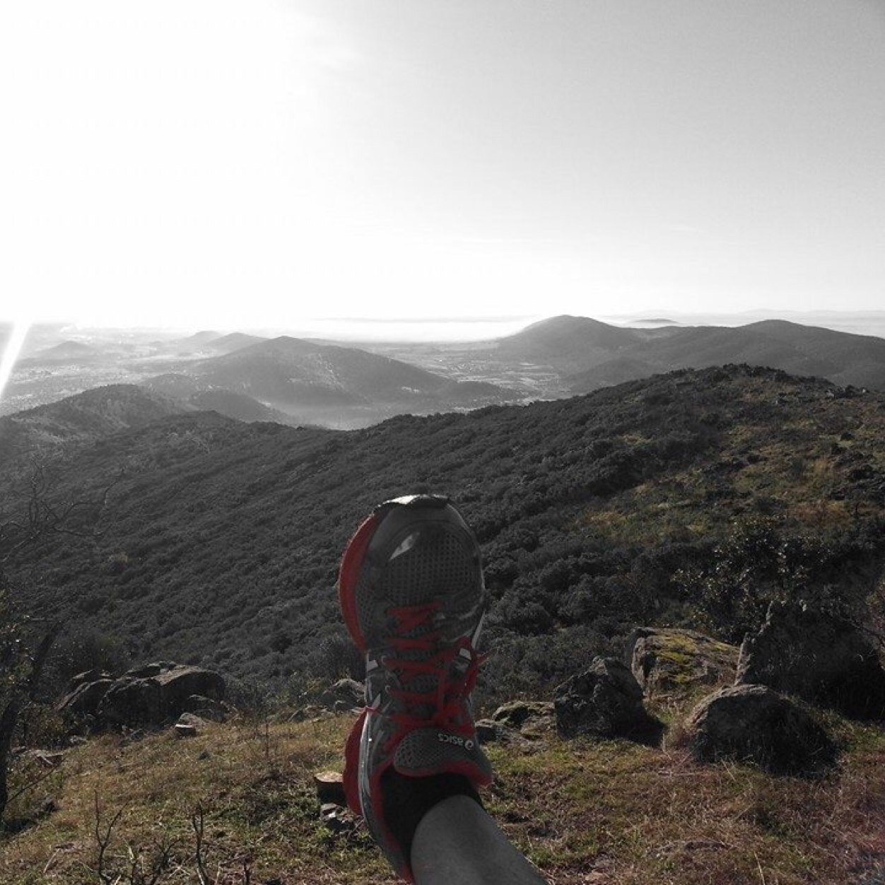 eikovastudio's profile picture. 