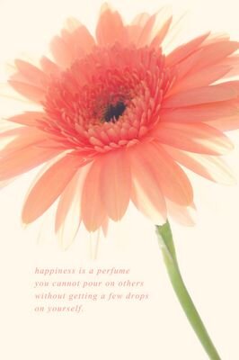 yarim_24's profile picture. 