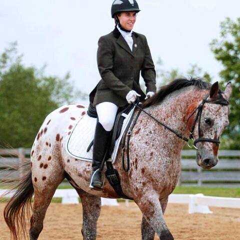 webmistress32's profile picture. Sr SQL Server DBA, Chicagoland Area.