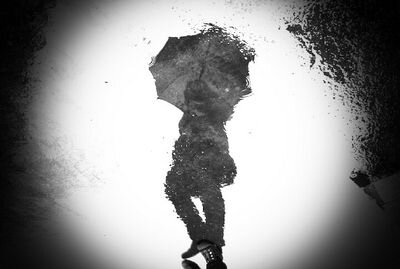 緒貴雨傘 Profile