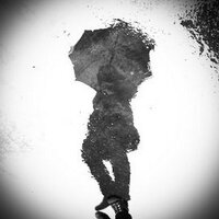 緒貴雨傘 (@wp_umbrella) 's Twitter Profile