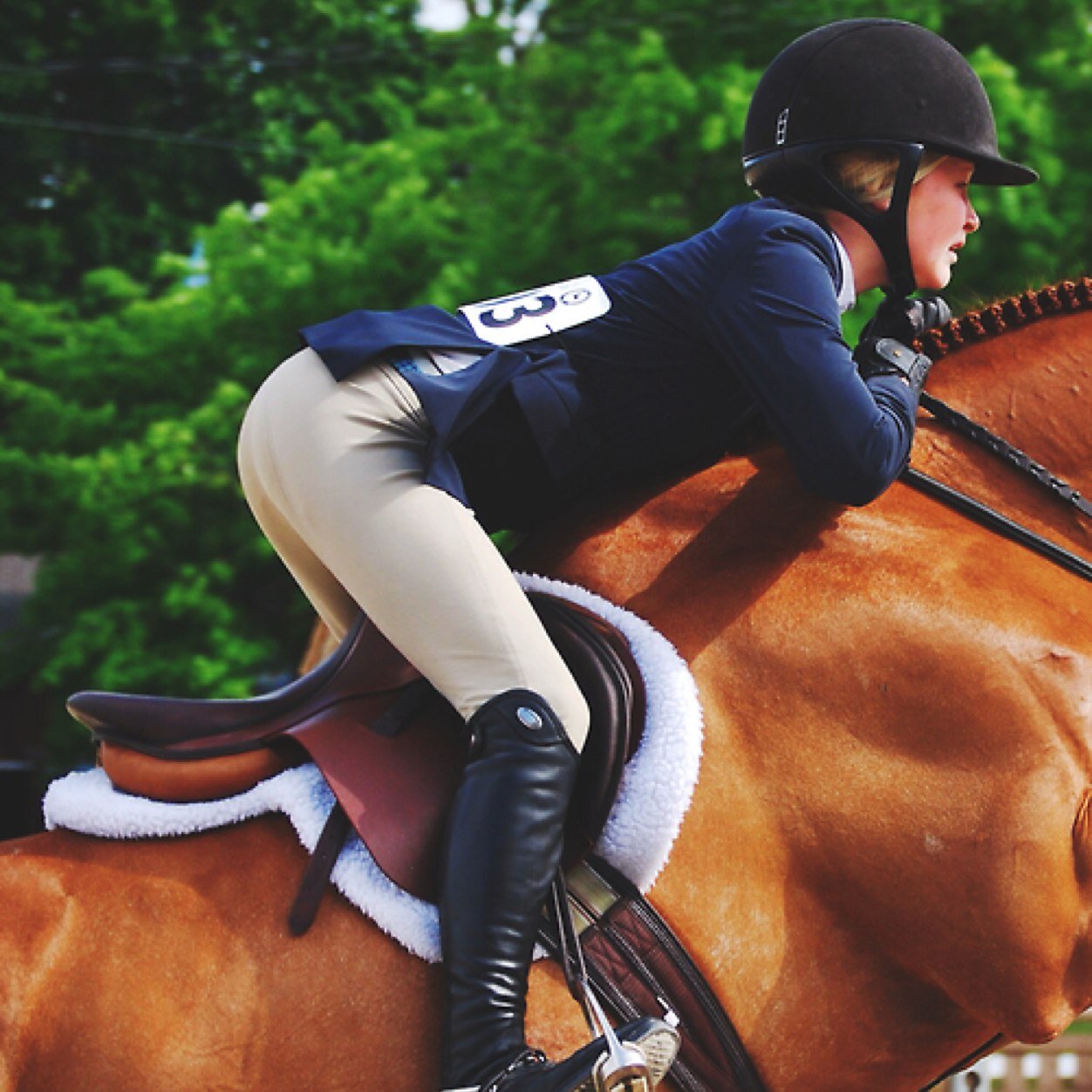 another equestrian princess on the circuit
