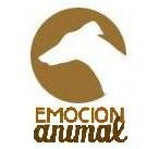 Cuidados - Educación Canina - Talleres - Información - Charlas - Guardería Animal