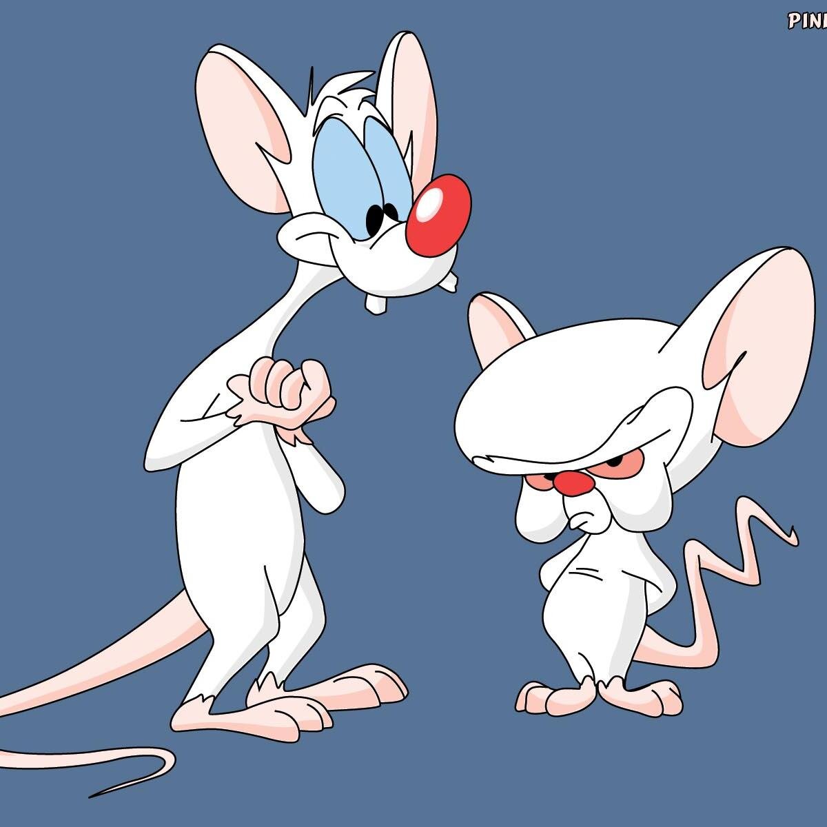 Pinky: Gee Brain, What do you wanna do tonight? Brain: Same thing we do every night Pinky, try to take over the world!