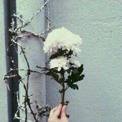 ‏لاجلك.