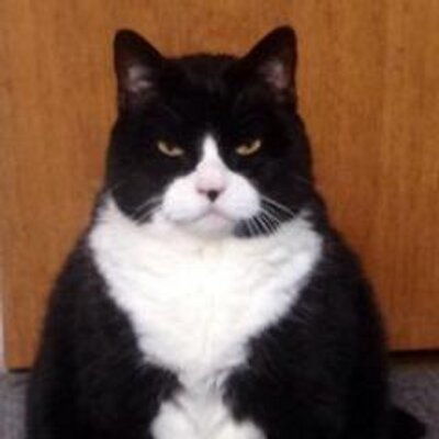 Кот Федот on Twitter: "Член Совета Федерации Ирина Гехт: "В соцсетях ...